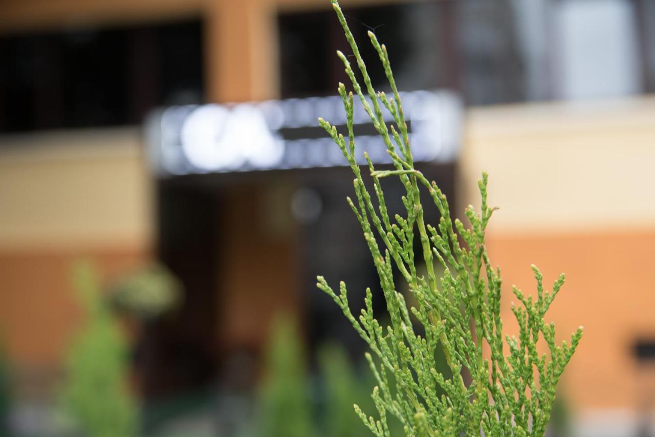 Dream Accommodation Bukurešť Exteriér fotografie